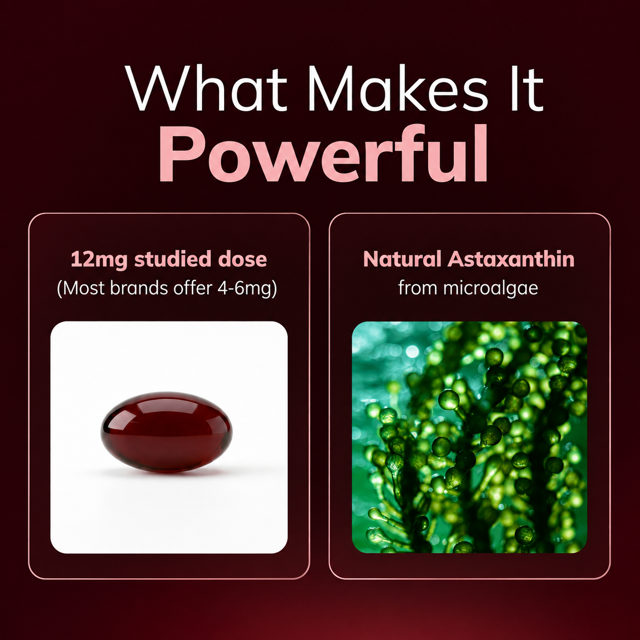 Rovina Astaxanthin - Natures Most Popular Antioxidant