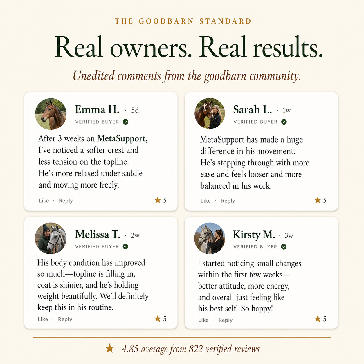 Equine Wellness - MetaSupport